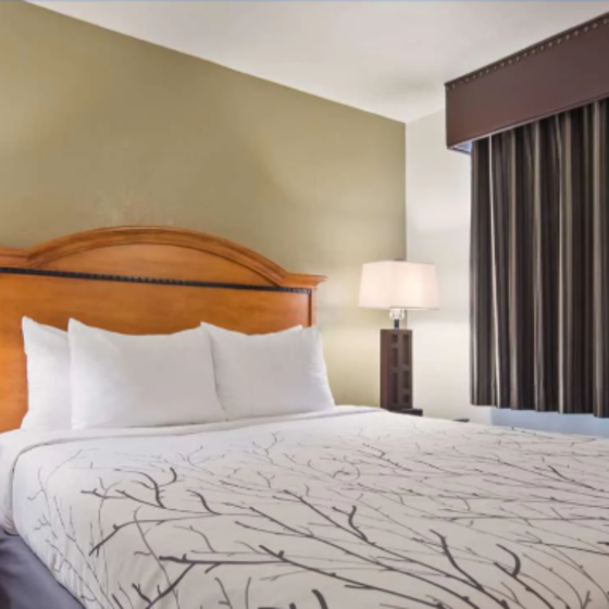 King Bedroom