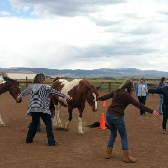 Horse Empower