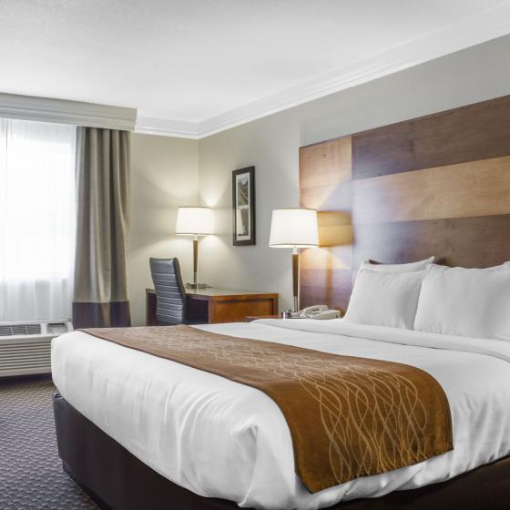King Room