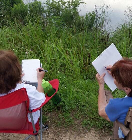 Cattail Marsh Nature Journaling