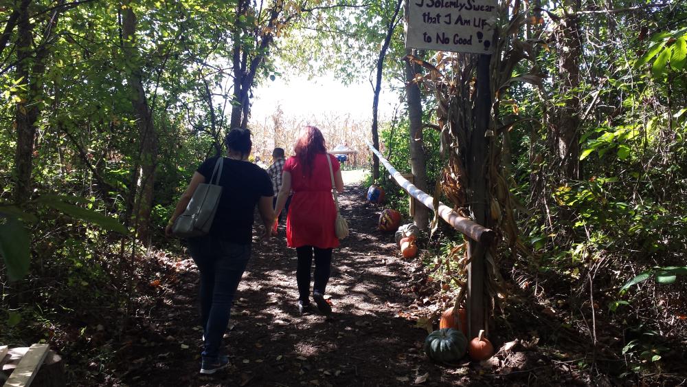 Path to the Corn Maze at Greendell Landscape Solutions