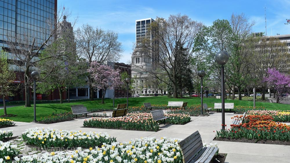 Freimann Square Spring Skyline Jigsaw Puzzle Photo