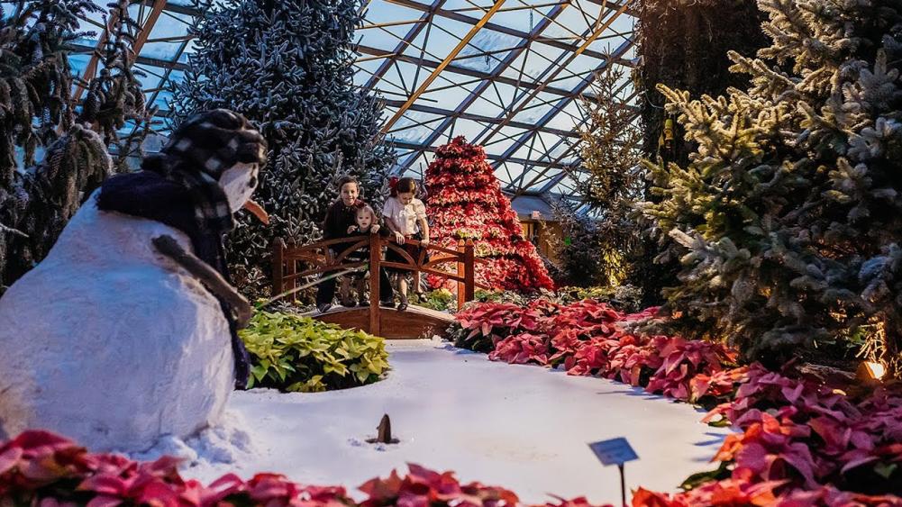 Christmas at the Botanical Conservatory