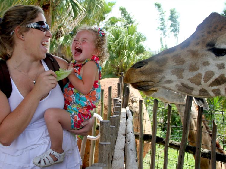 Zoo