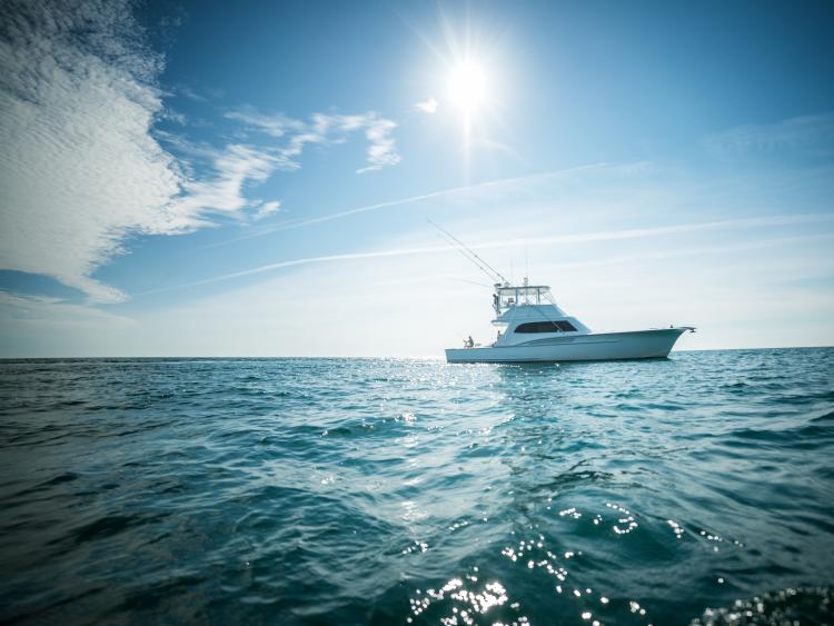 4x3 Carolina Beach Deep Sea Fishing