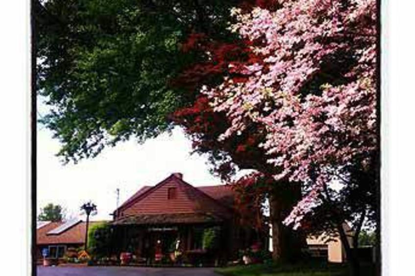 Parkview Gardens Florist Greenhouses Saint Charles Mo 63301