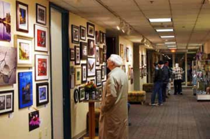 St. Peters Cultural Arts Center Saint Peters, MO 63376