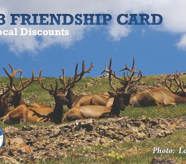 friendshipcard