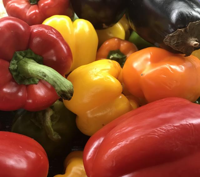 Fresh Veggies