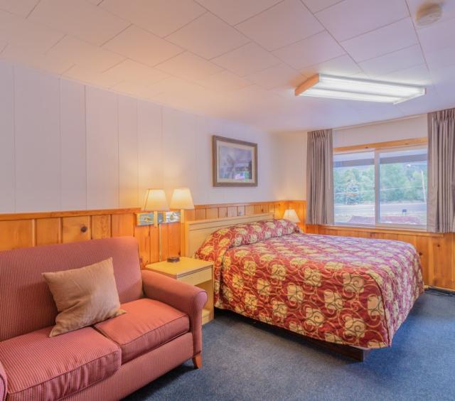Saddle Amp Surrey Motel