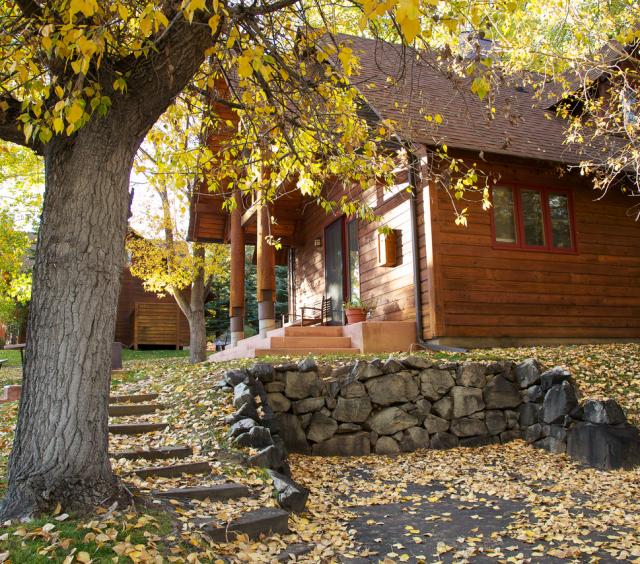 Cabin 9 Fall