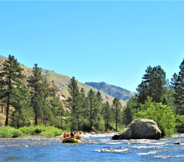 Colorado's Only 