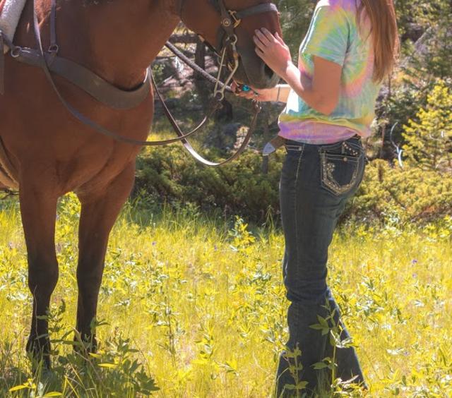 In the Meadow