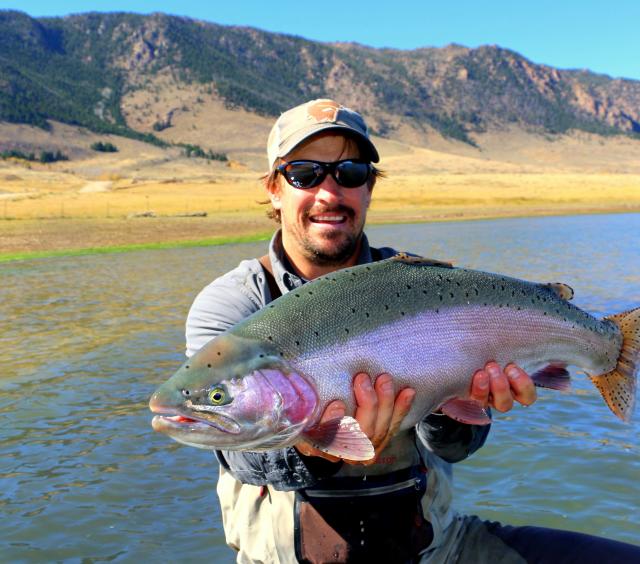 Kirk's Big Rainbow Fish