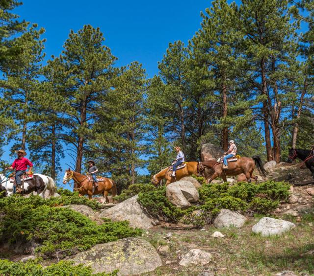 Scenic Ride