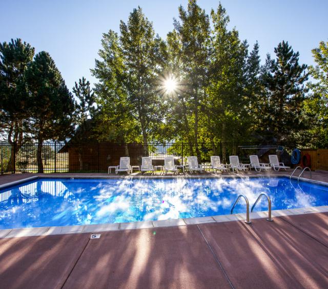 Pool with Sun In Trees