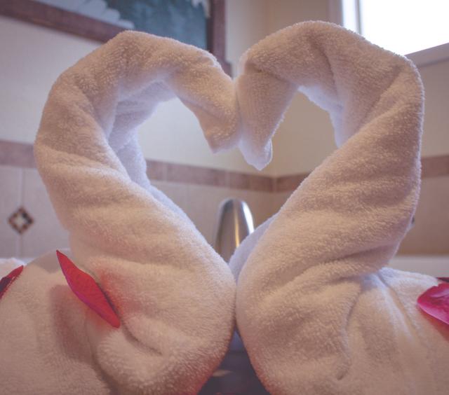 River_Swan Towels