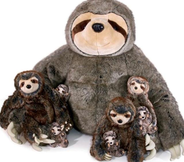 Sloth Family