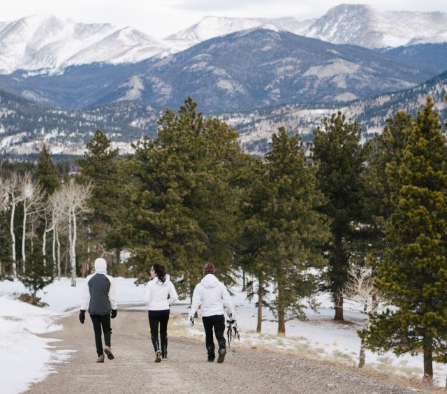 Snowshoe Trio