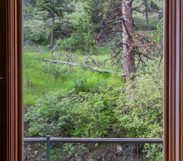Window View
