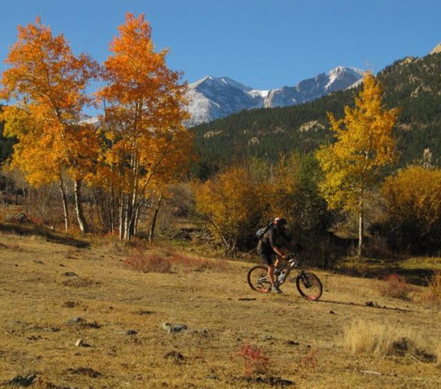 mtn. biking