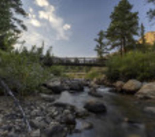 Bridge