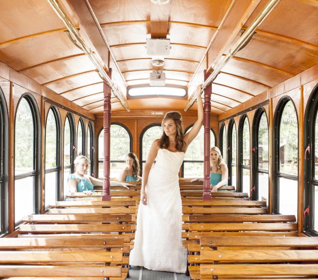 Beautiful Bride, On Her Way To The Ceremony