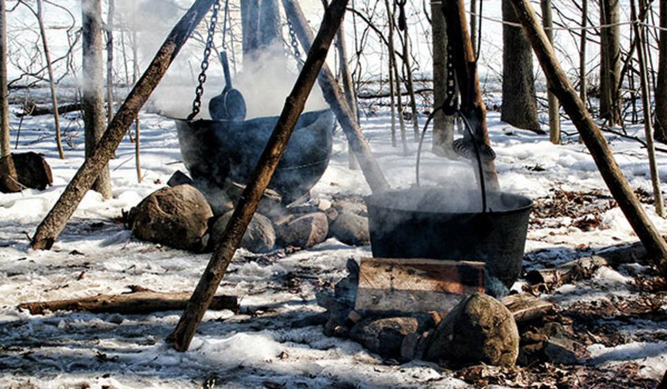 Maple Syrup Time in Northwest Indiana