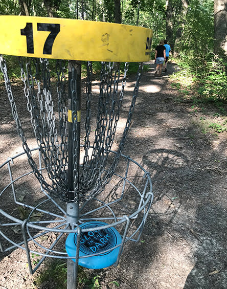 Lemon Lake County Park disc golf - disc catcher