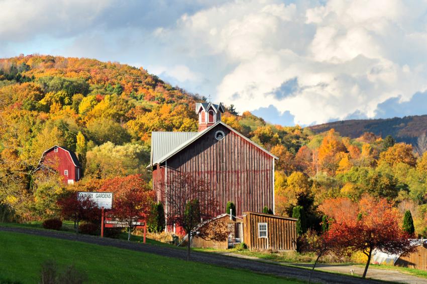 barns-exterior-naples-brown-fall-leaves