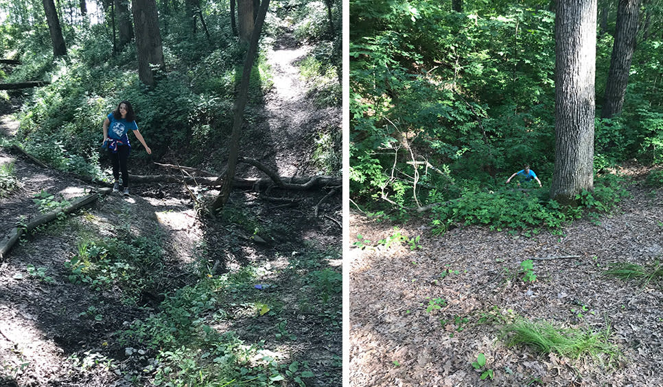 Lemon Lake County Park disc golf - in the brush