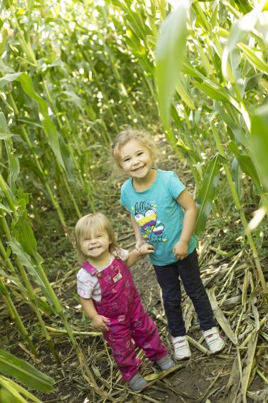 McMillan Farms Corn Maze