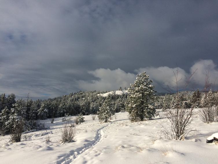 Bear Creek Snowy Trail