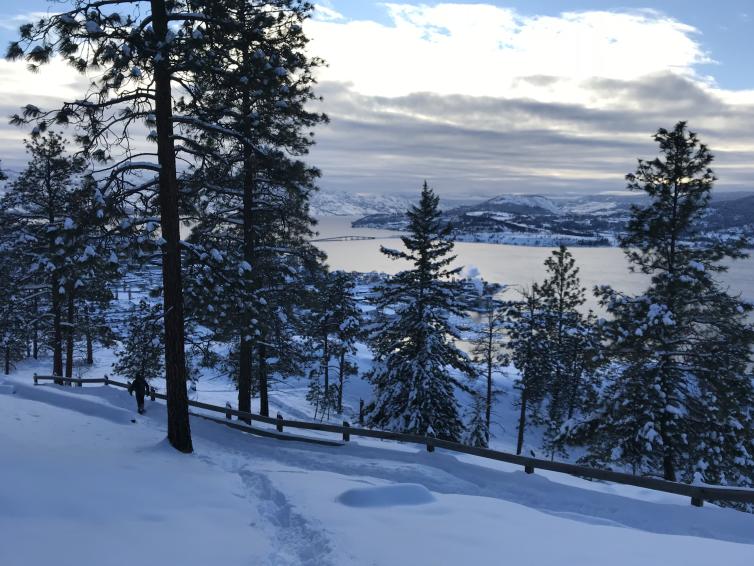 Knox Mountain Snowy Trail