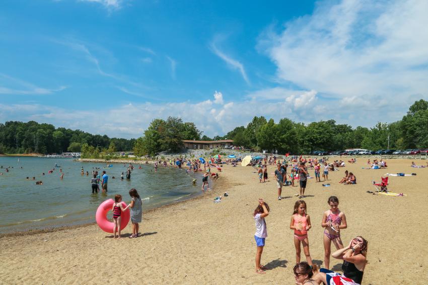 beach at paynetown