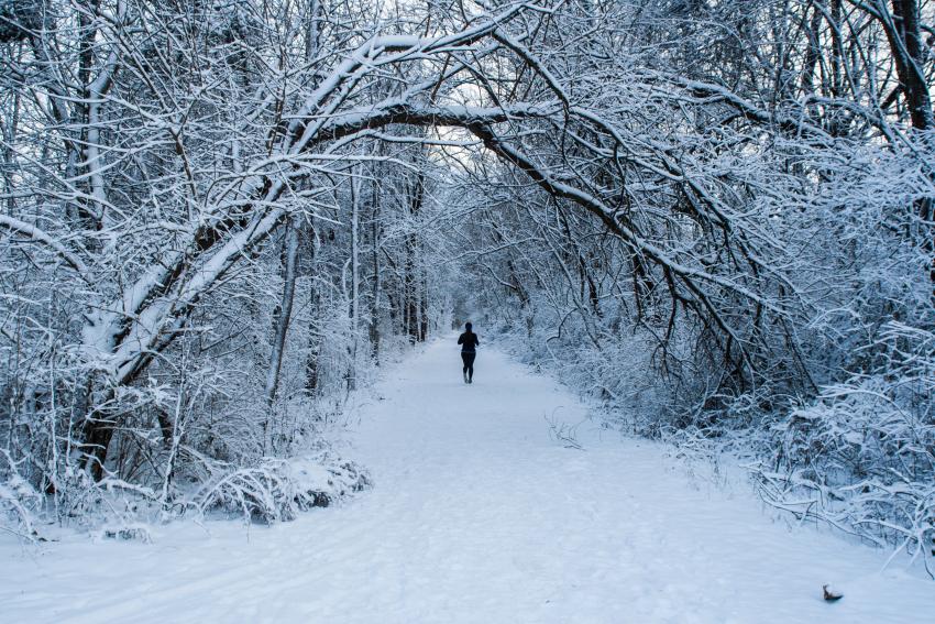 Snowy Rail Trail