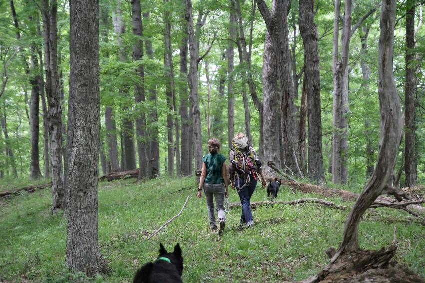 Hiking