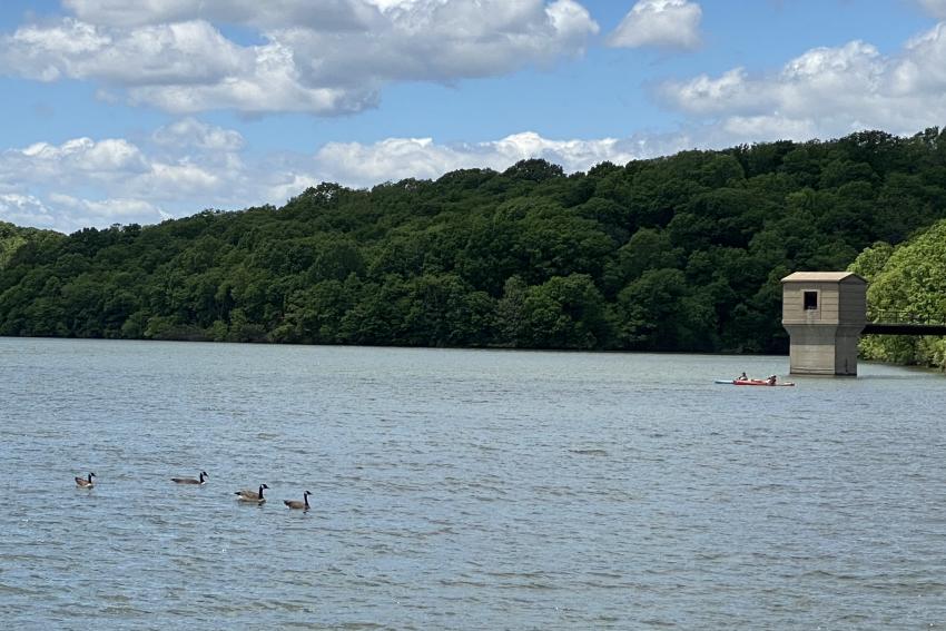 Wyandotte County Lake