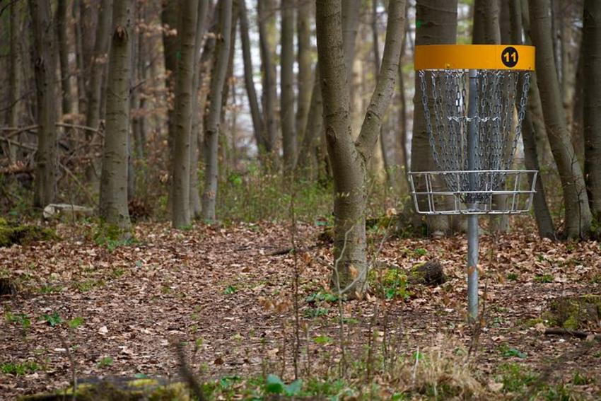 Disc Golf Cage by Trees