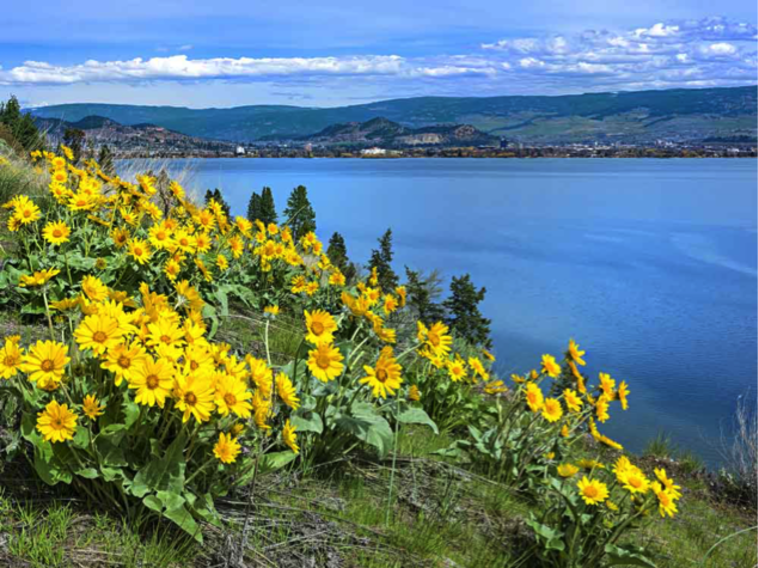 Kelowna's Secluded Beaches