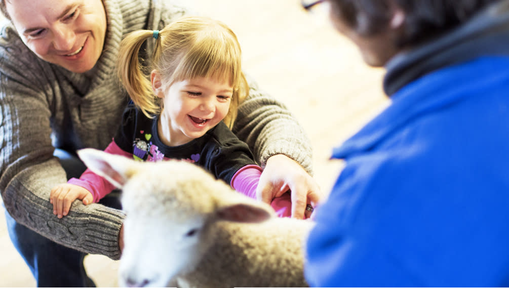 Conner Prairie Animal Encounters