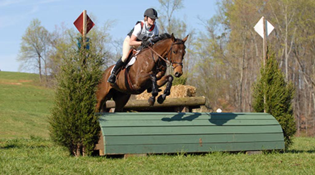 The Squirrel's Nest Farm