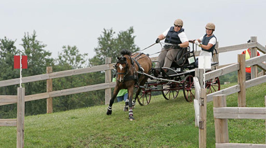 The Squirrel's Nest Farm