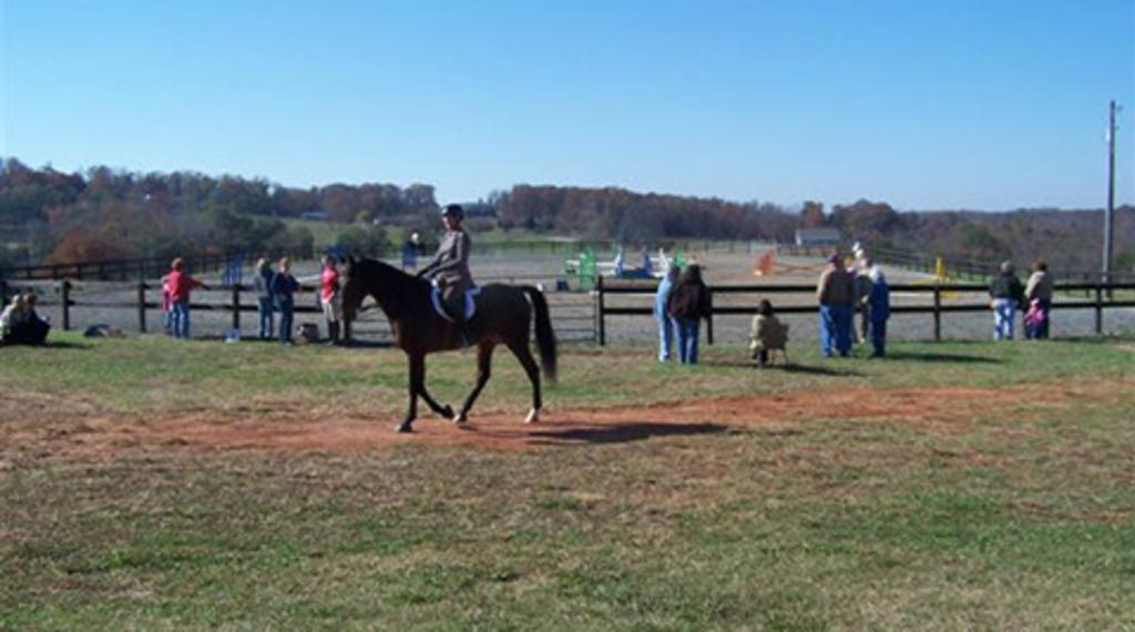 The Squirrel's Nest Farm
