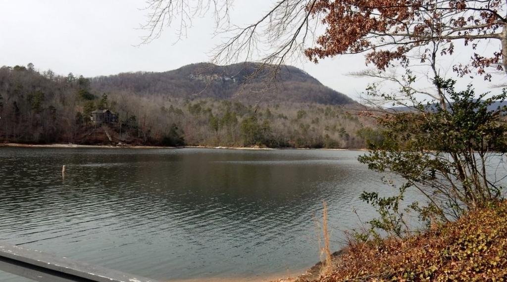 Around the Lake by Carolina Properties