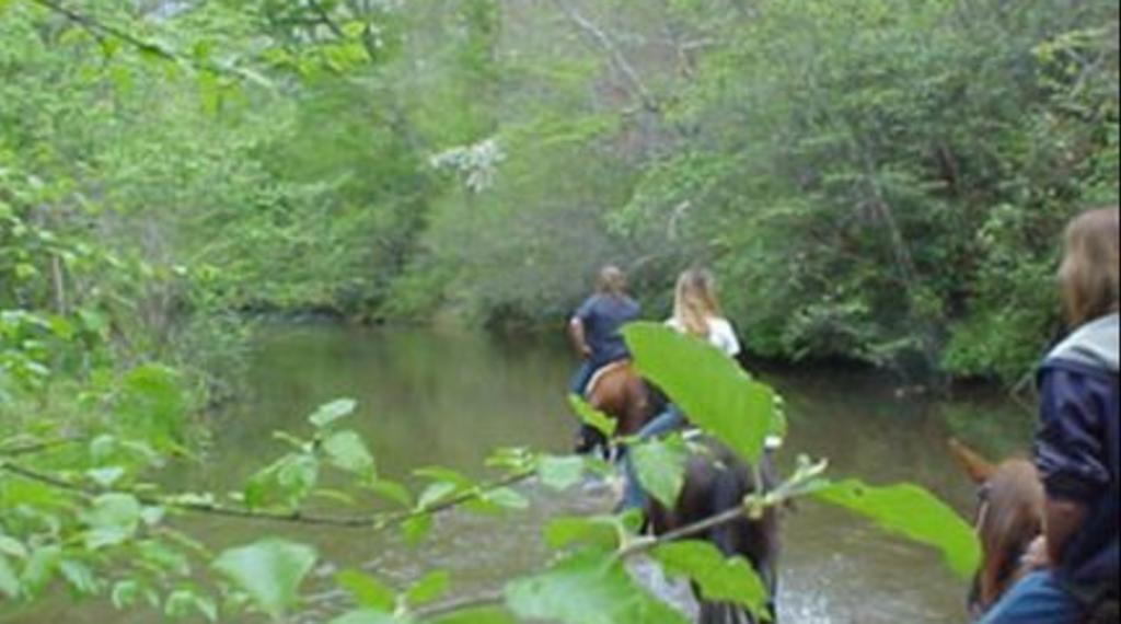 Riverside Riding Stables