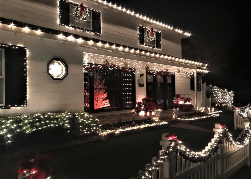 San Mateo County Silicon Valley The Most Insta Worthy Holiday