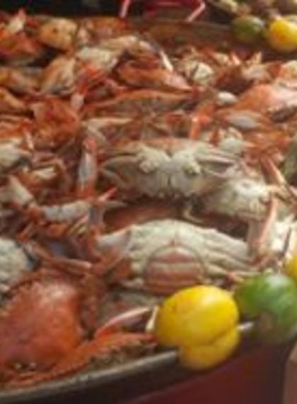 Visit Myrtle Beach, SC: Official Vacation Guide for Myrtle Beach Area