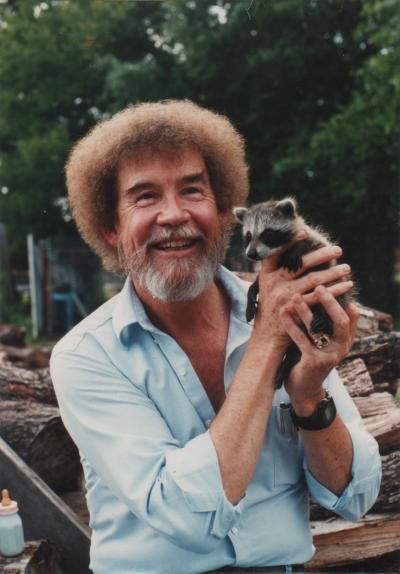 Bob Ross with a baby raccoon