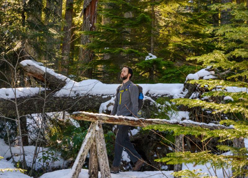 Diamond Creek Falls trail in snow by Melanie Griffin Diamond Creek Falls trail in snow by Melanie Griffin